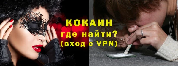 индика Волосово