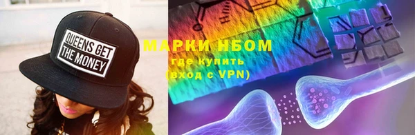 индика Волосово