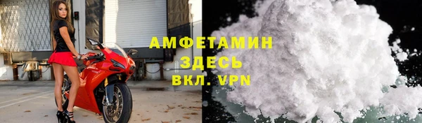 индика Волосово
