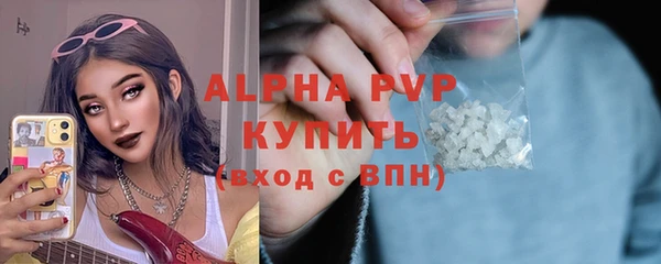 индика Волосово