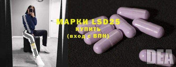 индика Волосово