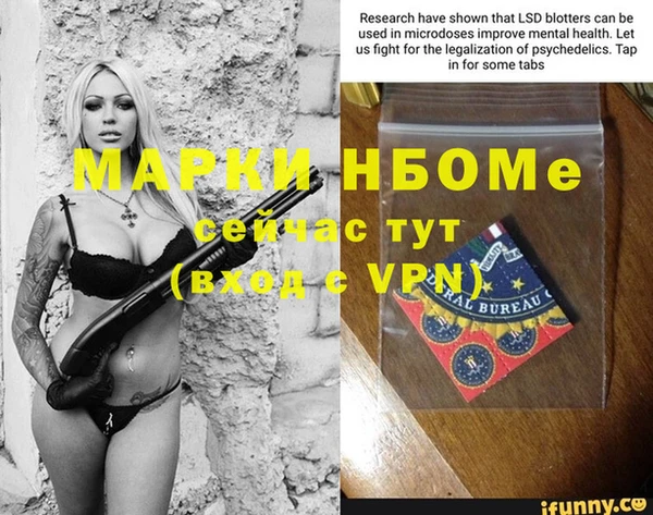 индика Волосово