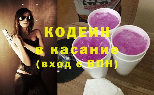 индика Волосово