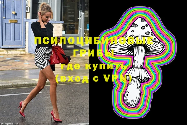 индика Волосово