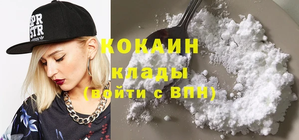индика Волосово