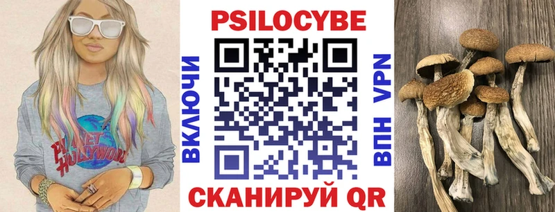 Псилоцибиновые грибы ЛСД  купить закладку  kraken зеркало  Калининград 